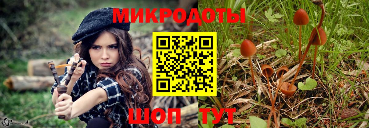 Дмитров  НБОМе  Каннабис  ГАШИШ  Где найти наркотики?  Вход с VPN  МЕФ   Гашиш 