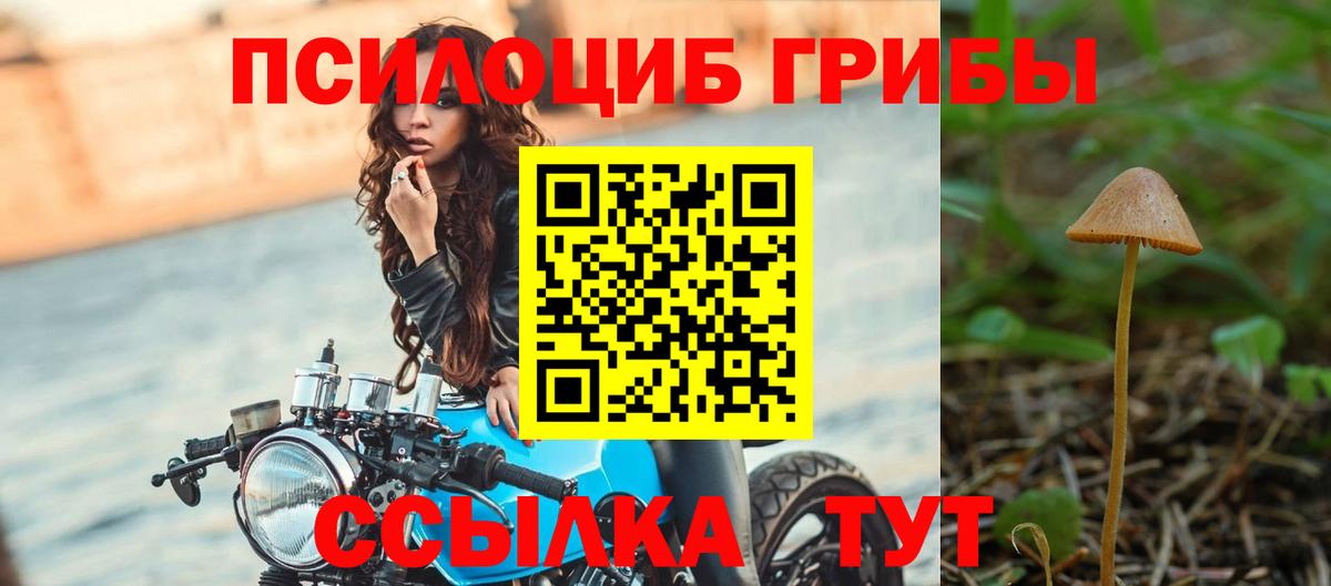 Псилоцибиновые грибы Psilocybe  Вход с VPN  Галлюциногенные грибы мухоморы  Дмитров 