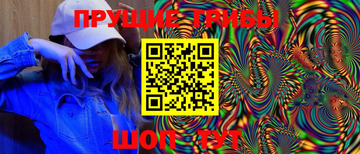 Псилоцибиновые грибы Psilocybe Дмитров